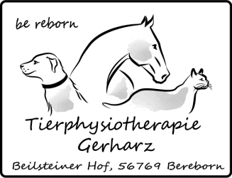 Physiotherapie und Osteopathie